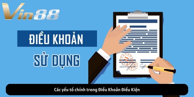Các yếu tố chính trong Điều Khoản Điều Kiện